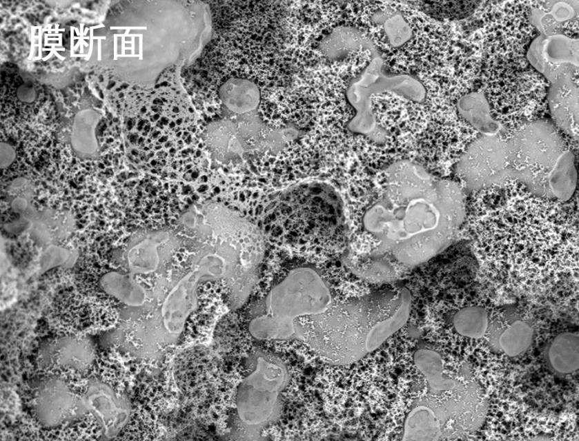 918博天堂烧结管式膜电镜照片