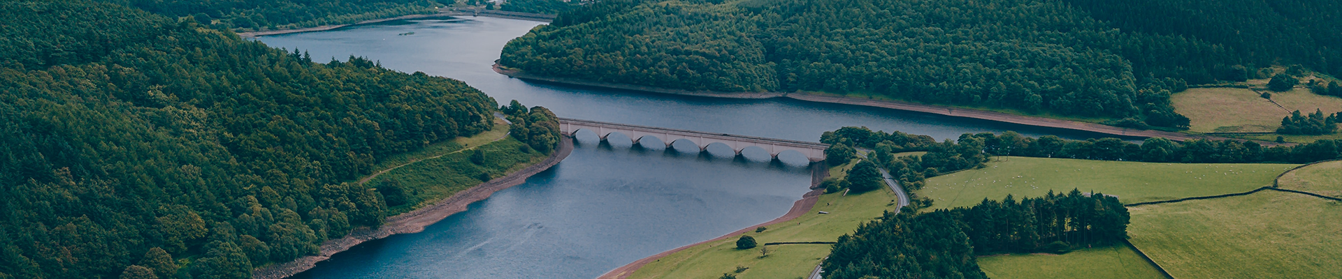 首页- 918博天堂集团有限公司官方网站