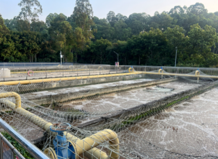 首页- 918博天堂集团有限公司官方网站