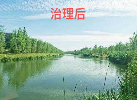 首页- 918博天堂集团有限公司官方网站